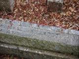 image of grave number 919833